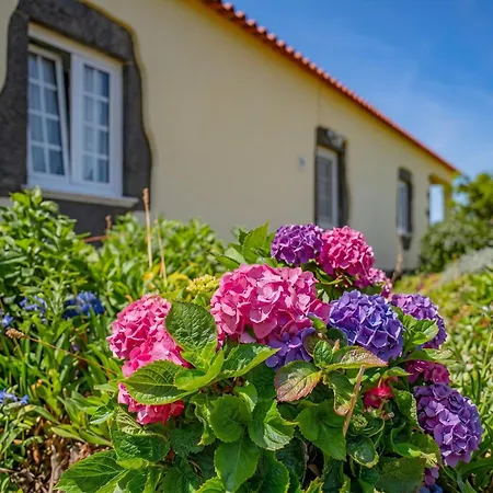 Terceira Horizon Retreat By Seewest Feriehus *